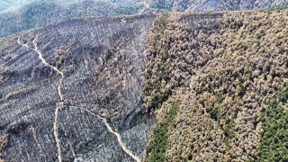 Karabükte yangın sonrası ormanlar hazan rengine büründü