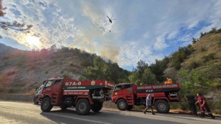 Karabükteki orman yangını 2 saatte kontrol altına alındı