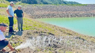 Karacaören Göleti’ne Soğuk Su Takviyesi ile Yavru Balıklar Kurtarıldı