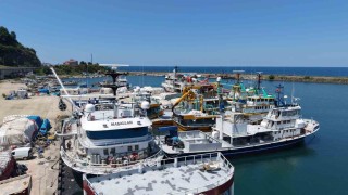 Karadenizde balıkçılar yeni av sezonundan umutlu: Palamut görüldü, hamsi bekleniyor