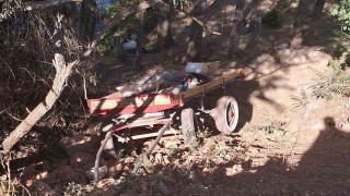 Karamanda at arabası şarampole yuvarlandı: 4 yaralı