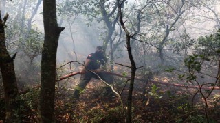 Karamürsel yangını için seferberlik ilan edildi