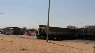 Kardeşleri hayattan koparan kaza