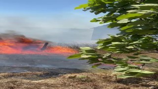 Karmürselden sonra Kandırada da yangın başladı