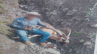 Karsta 1 kişi yaban keçisi avladı: 650 bin lira ceza ödedi