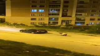 Karsta eşeği arabaya bağlayıp, zorla çekerek götürdüler