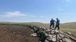 Karsta şap hastalığıyla mücadele sürüyor