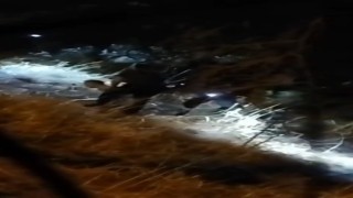 Kartalda otluk alanda ateş yakan şahıslara tutuklama talebi