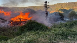 Kastamonuda alevlere telim olan iki samanlık yandı