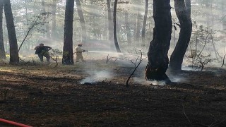Kastamonuda ormanlık alanda çıkan yangın büyümeden söndürüldü