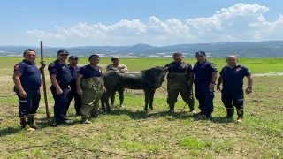 Katırlarını kurtarmak isterken kendisi de battı