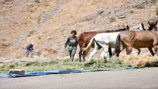 Katırlarla kışa hazırlık
