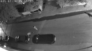 Kavga eden genç sinirini arabadan çıkardı