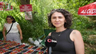 Kavurucu sıcaklarda çilek ve böğürtlen mevsimi
