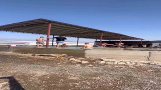 Kavurucu sıcaktan bunalan tarım işçileri maydanoz havuzunda serinledi