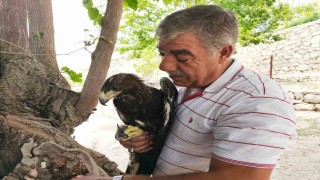Kaya kartalı ile şahsın dostluğu görenleri şaşırtıyor