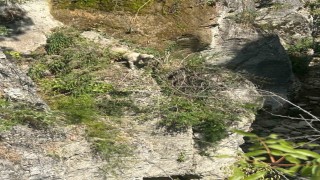 Kayalıkta mahsur kalan köpeği itfaiye ekipleri kurtardı