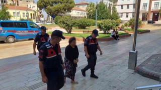 Kayınpeder öfkesi 3 hektarı küle çevirdi