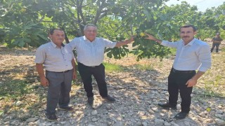 Kaymakam Polat, incir üreticileriyle bir araya geldi