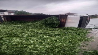 Kaza sonrası yola saçılan kamyon kasasındaki 10 ton çayı böyle temizlediler