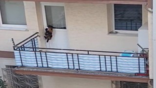 Kedinin balkona mahkum edildiği iddiası polisi harekete geçirdi