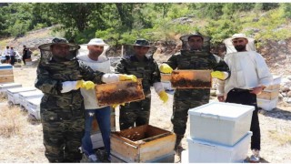 Kemahta arıcıların bal hasadı