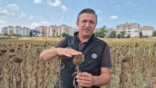 Kendilerine kepçeyle, çiftçiye çay kaşığıyla: Trakya Birlike tepki büyüyor