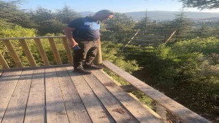 Kent Ormanından seyir terasına zarar verdiler