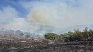 Kepsutta orman yangını