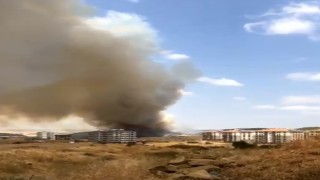 Keşanda ağaçlık alanda çıkan yangın rüzgarla büyüyor