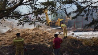 Keşanda anız yangını akaryakıt istasyonuna metreler kala kontrol altına alındı