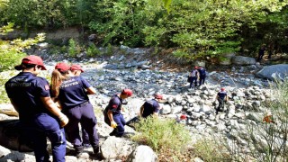Kestelde temizle, yeşert, koru seferberliği
