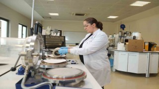 Kâğıt atıkları doğada çözünebilir saksıya dönüşecek