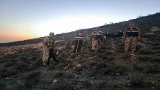 Kiliste kaybolan 26 küçükbaş hayvan bulundu