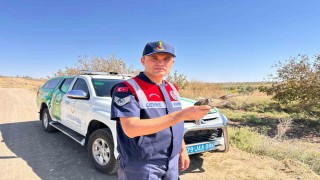 Kiliste yaralı küçük balaban kuşu koruma altına alındı