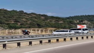 Kilometrelerce süren tehlikeli yolculuk kameraya yansıdı