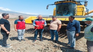 Kırıkhanda ayçiçeği hasadı başladı