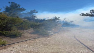 Kırkağaçta orman yangını kısa sürede kontrol altına alındı