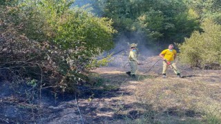 Kırklarelide orman yangını