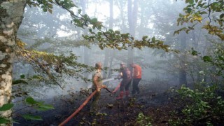 Kırklarelide orman yangını kısa sürede söndürüldü