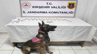 Kırşehirde bin 823 sentetik hap ele geçirildi: 2 gözaltı