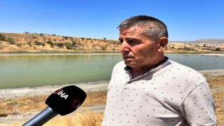 Kızılca Göletinde 2nci yılın acı tablosu: Çürüyen balıklar ve kötü kokan su yatağı