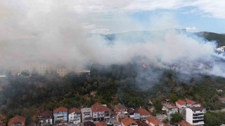 Kocaelide ağaçlık alana sıçrayan yangın kontrol altına alındı