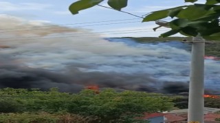 Kocaelide ağaçlık alanda yangın çıktı