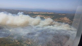 Kocaelide ormanı yangını nedeniyle Akçat köyü boşaltılıyor