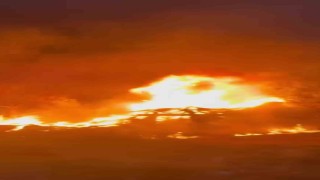 Kocaelide otluk arazide çıkan yangın söndürüldü