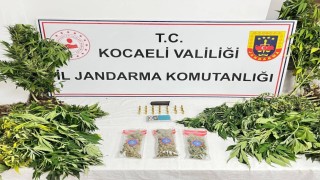 Kocaelide uyuşturucu operasyonlarında 1 şüpheli tutuklandı