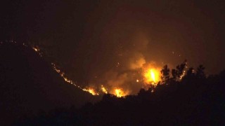 Kocaelideki orman yangını 8,5 saattir sürüyor: Rüzgar müdahaleyi güçleştiriyor