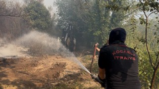 Kocaelideki orman yangınına 10 helikopter ve 6 uçakla müdahale sürüyor