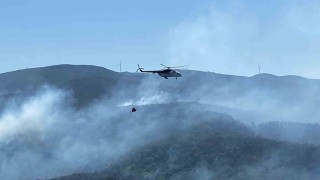 Kocaelideki yangında büyük ölçüde kontrol sağlandı
